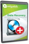 Amigabit Data Recovery Standard