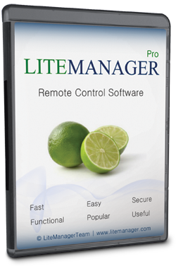 LiteManager Pro 4.8