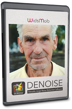 WidsMob Denoise