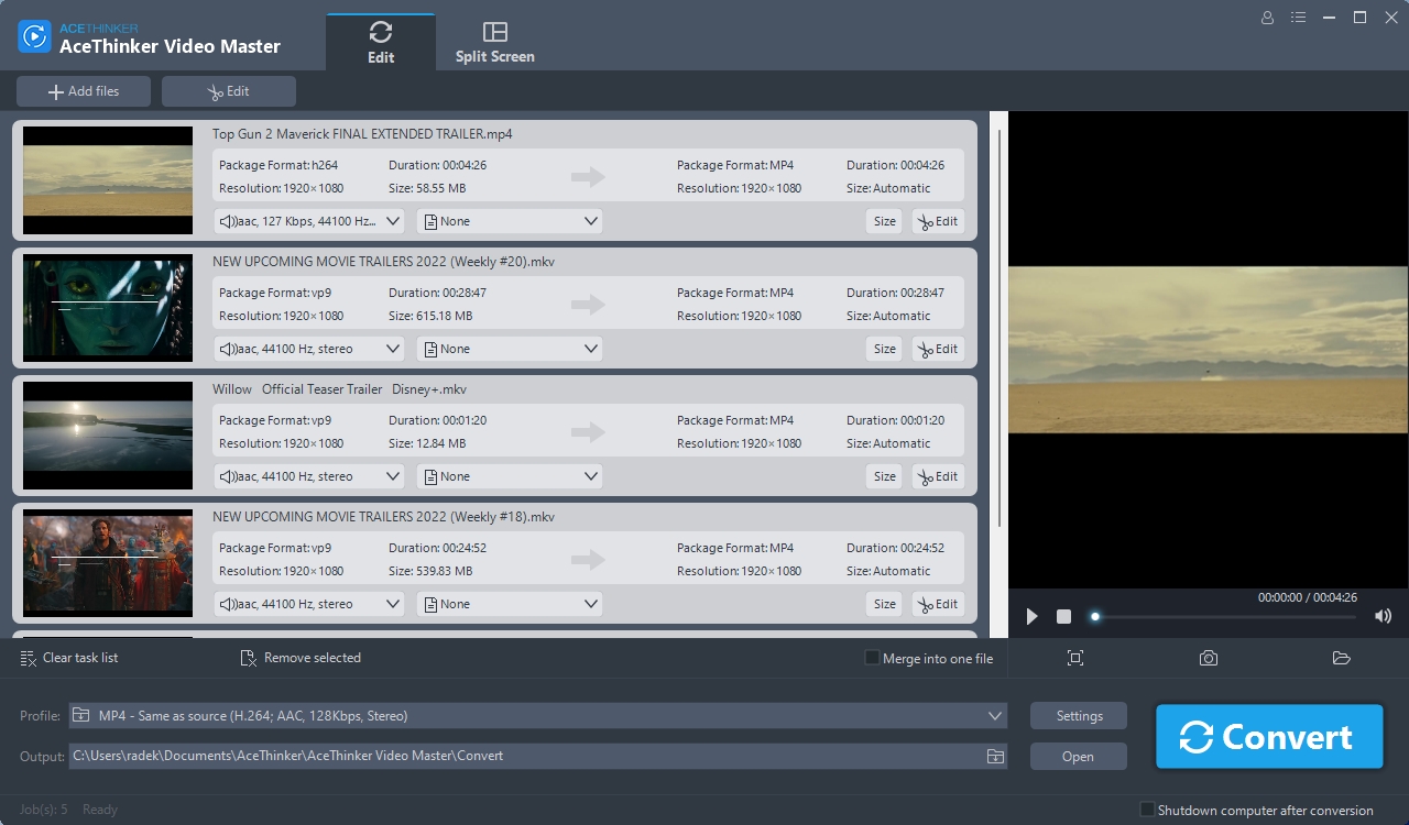V programu AceThinker Video Master můžete pro převod do jiného formátu zvolit hned několik různých souborů s videem. Jejich konverze podle individuálního nastavení pak bude provedena postupně. Než ji ale spustíte, můžete jednotlivé videoklipy ještě upravovat. | Zdroj: Video Master