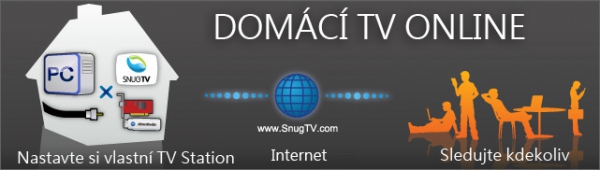 AverMedia SnugTV