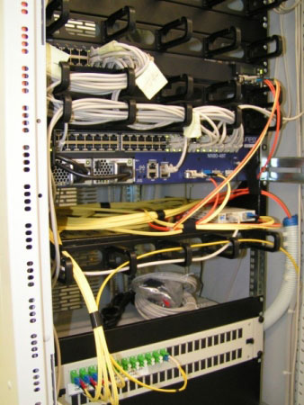 Server hosting monitoring